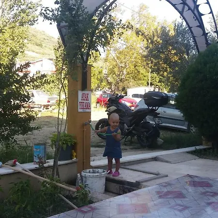 Saglik