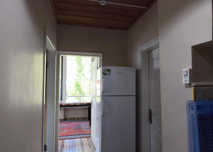 Lägenhetshotell Saglik